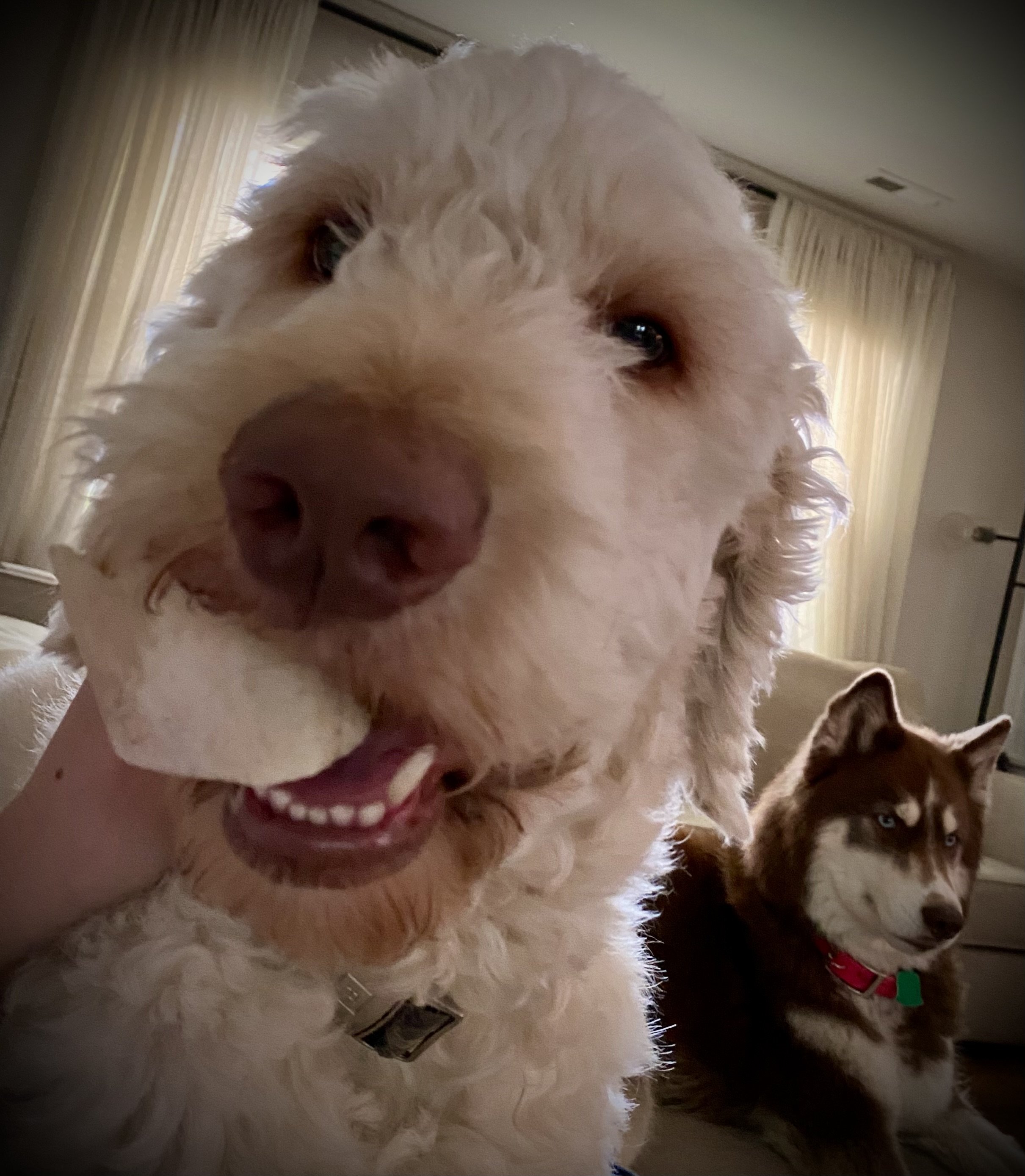 Psychotherapy Session